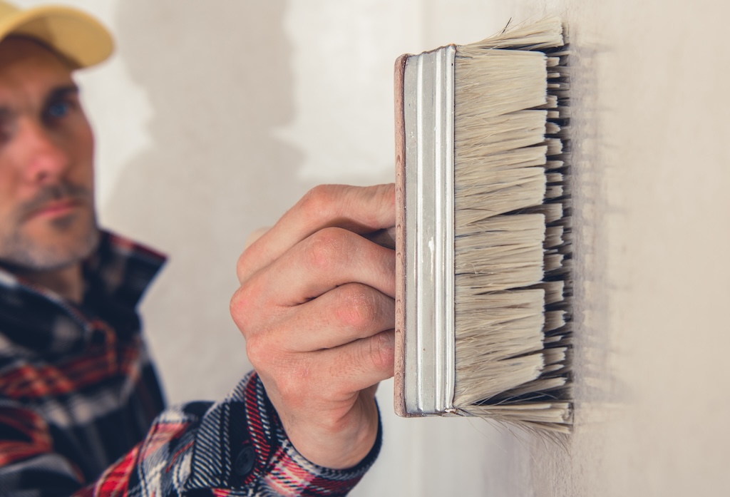 Paint Maintenance, Home Care, Longevity of Paint, Home Improvement, Paint Preservation